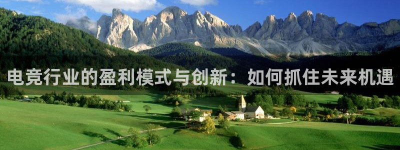 南宫电竞贴吧：电竞行业的盈利模式与创新：如何抓住未来机遇