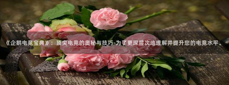 南宫电竞登陆