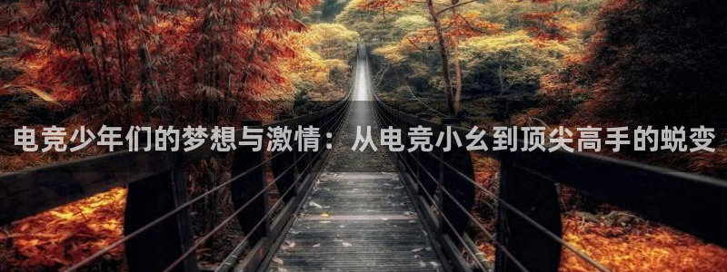 南宫电竞网：电竞少年们的梦想与激情：从电竞小幺到顶尖高手的蜕变