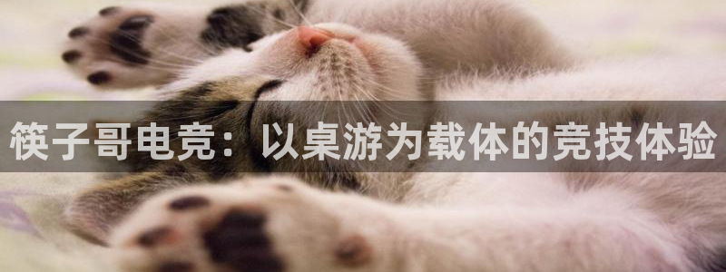 南宫电竞平台：筷子哥电竞：以桌游为载体的竞技体验