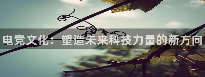 南宫电竞注册：电竞文化：塑造未来科技力量的新方向