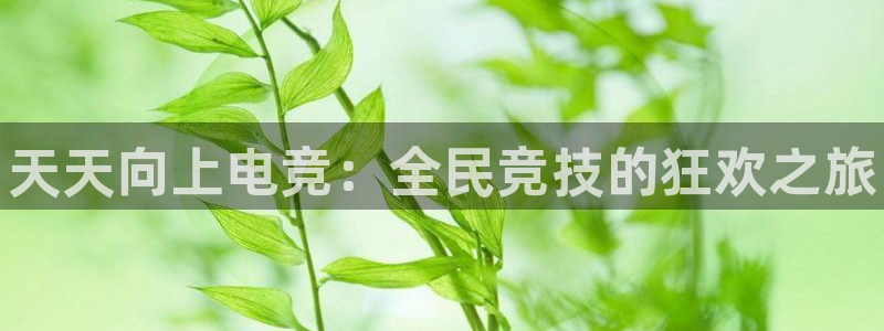 南宫电竞贴吧