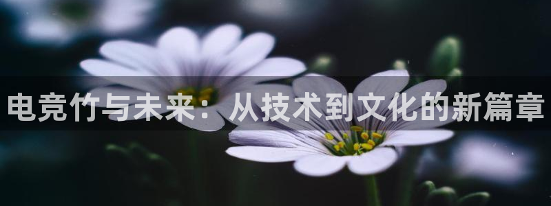 南宫电竞平台：电竞竹与未来：从技术到文化的新篇章