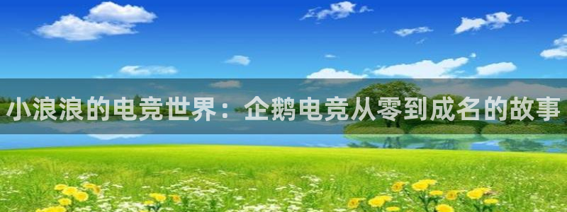 南宫电竞注册：小浪浪的电竞世界：企鹅电竞从零到成名的故事