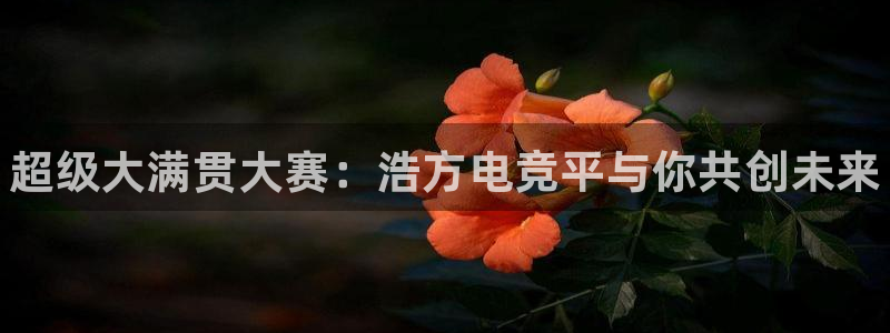 南宫电竞网：超级大满贯大赛：浩方电竞平与你共创未来