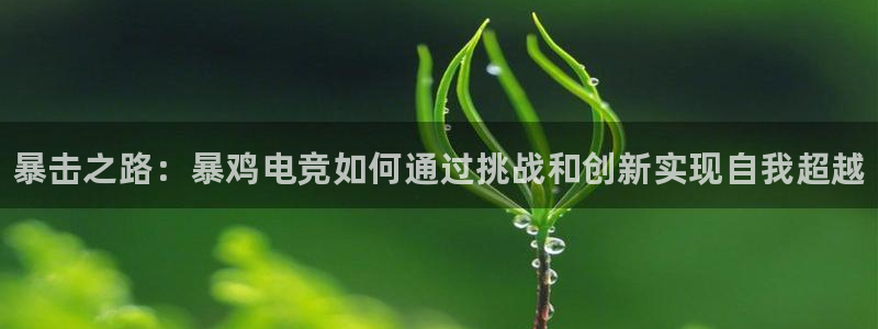 南宫电竞登陆：暴击之路：暴鸡电竞如何通过挑战和创新实现自我超越