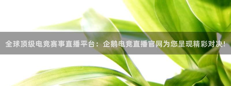 南宫电竞贴吧：全球顶级电竞赛事直播平台：企鹅电竞直播官网为您呈现精彩对决!