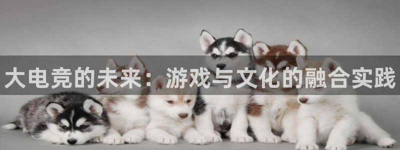 南宫电竞官网：大电竞的未来：游戏与文化的融合实践