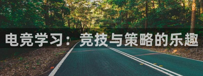 南宫电竞官网：电竞学习：竞技与策略的乐趣