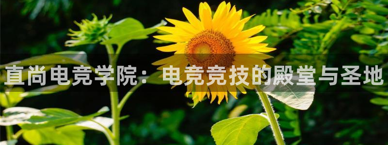 南宫电竞：直尚电竞学院：电竞竞技的殿堂与圣地