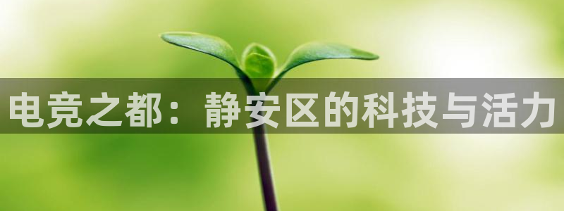 南宫电竞：电竞之都：静安区的科技与活力