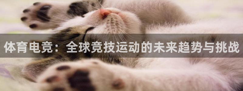 南宫电竞app：体育电竞：全球竞技运动的未来趋势与挑战