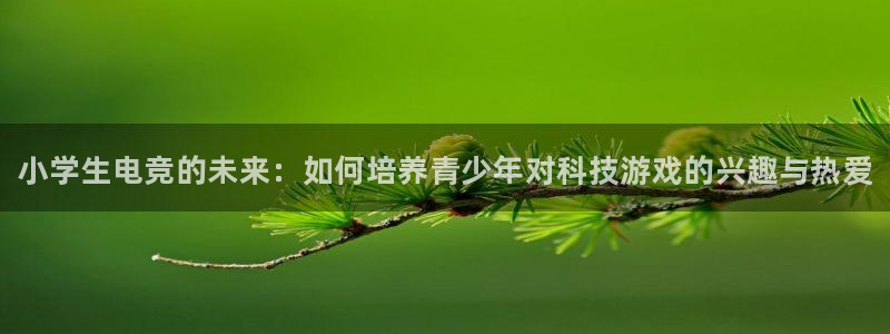 南宫电竞注册：小学生电竞的未来：如何培养青少年对科技游戏的兴趣与热爱