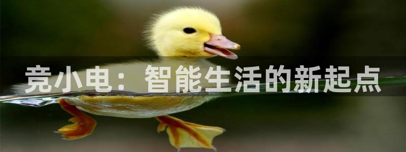 南宫电竞登陆：竞小电：智能生活的新起点