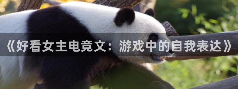 南宫电竞app：《好看女主电竞文：游戏中的自我表达》