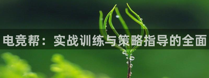 南宫电竞：电竞帮：实战训练与策略指导的全面