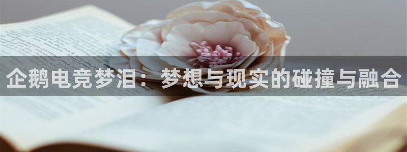 南宫电竞注册：企鹅电竞梦泪：梦想与现实的碰撞与融合