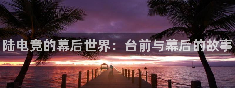 南宫电竞注册：陆电竞的幕后世界：台前与幕后的故事