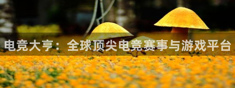 南宫电竞官网：电竞大亨：全球顶尖电竞赛事与游戏平台