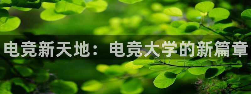 南宫电竞官网：电竞新天地：电竞大学的新篇章