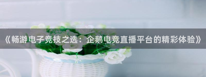 南宫电竞贴吧：《畅游电子竞技之选：企鹅电竞直播平台的精彩体验》