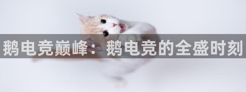 南宫电竞登陆：鹅电竞巅峰：鹅电竞的全盛时刻
