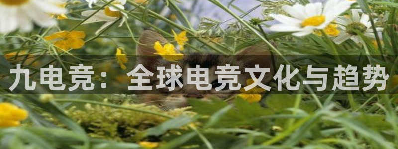 南宫电竞贴吧：九电竞：全球电竞文化与趋势