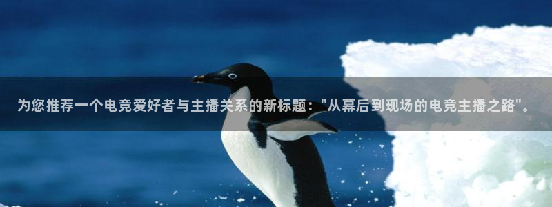 南宫电竞网：为您推荐一个电竞爱好者与主播关系的新标题：\