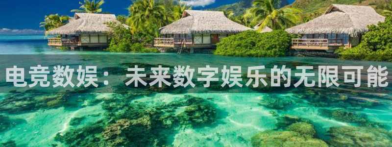 南宫电竞：电竞数娱：未来数字娱乐的无限可能