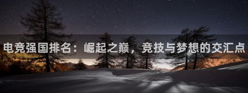 南宫电竞登陆：电竞强国排名：崛起之巅，竞技与梦想的交汇点