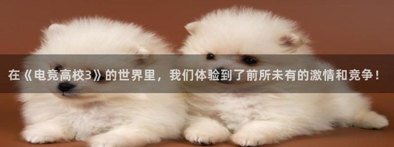 南宫电竞注册：在《电竞高校3》的世界里，我们体验到了前所未有的激情和竞争！