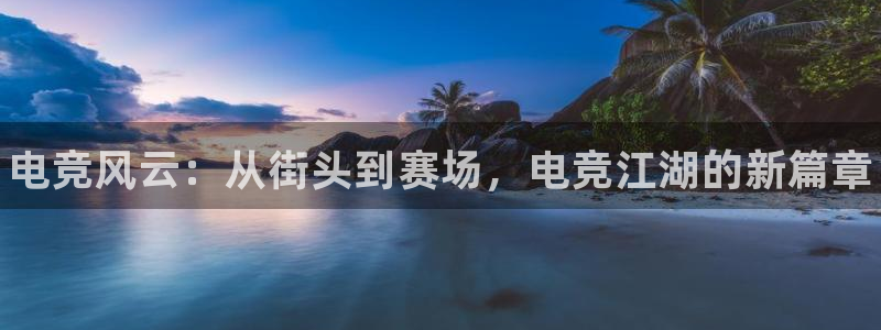 南宫电竞注册：电竞风云：从街头到赛场，电竞江湖的新篇章