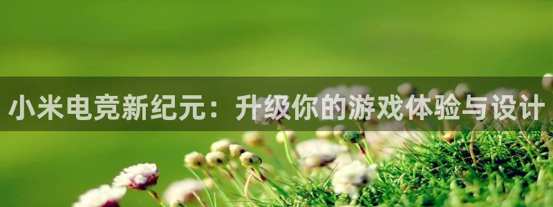 南宫电竞贴吧：小米电竞新纪元：升级你的游戏体验与设计