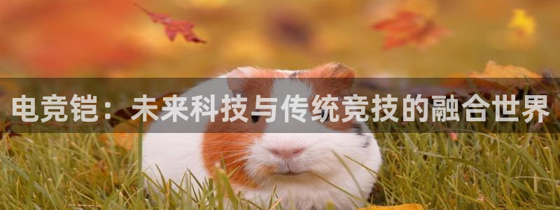 南宫电竞注册：电竞铠：未来科技与传统竞技的融合世界