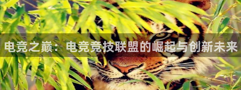 南宫电竞注册：电竞之巅：电竞竞技联盟的崛起与创新未来