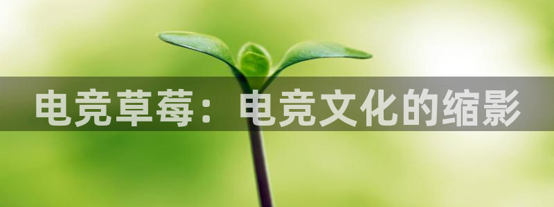 南宫电竞app：电竞草莓：电竞文化的缩影