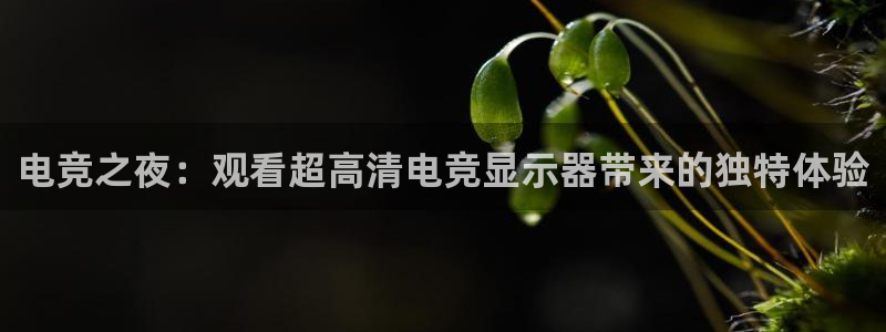南宫电竞平台：电竞之夜：观看超高清电竞显示器带来的独特体验