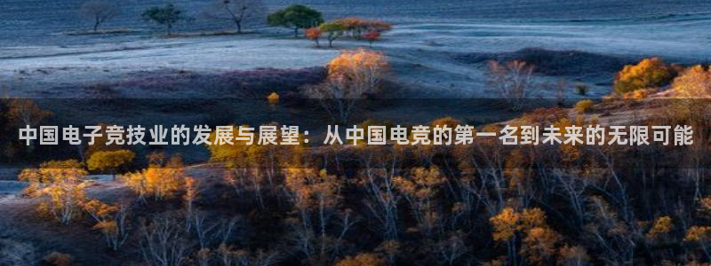 南宫电竞网：中国电子竞技业的发展与展望：从中国电竞的第一名到未来的无限可能