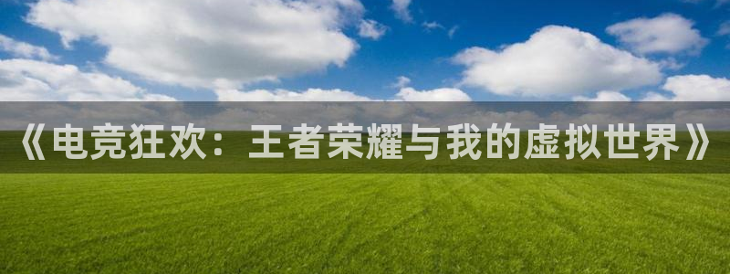 南宫电竞登陆：《电竞狂欢：王者荣耀与我的虚拟世界》