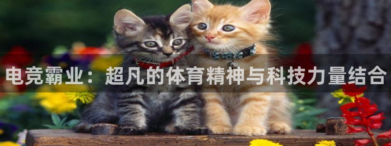 南宫电竞注册：电竞霸业：超凡的体育精神与科技力量结合