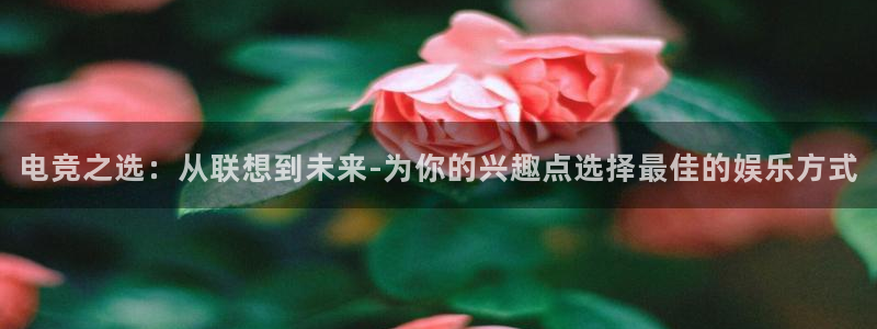 南宫电竞平台：电竞之选：从联想到未来-为你的兴趣点选择最佳的娱乐方式
