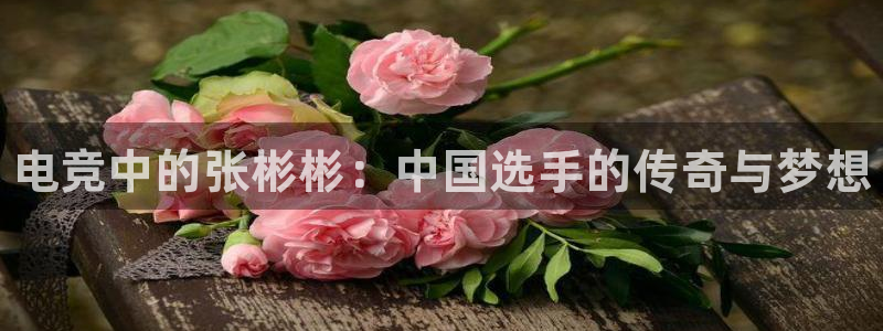 南宫电竞：电竞中的张彬彬：中国选手的传奇与梦想