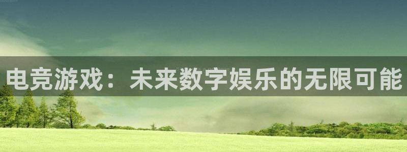 南宫电竞网：电竞游戏：未来数字娱乐的无限可能