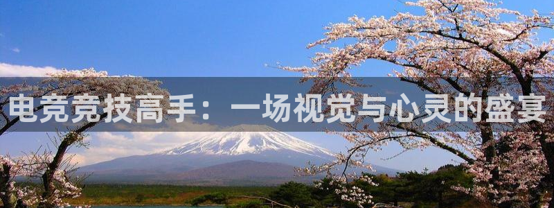 南宫电竞贴吧：电竞竞技高手：一场视觉与心灵的盛宴