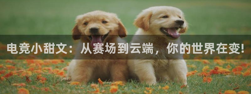 南宫电竞平台：电竞小甜文：从赛场到云端，你的世界在变!