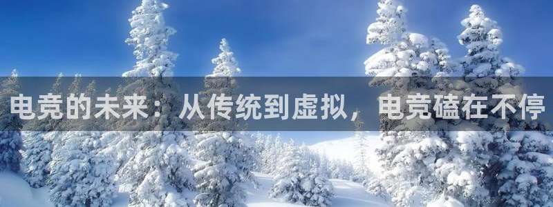 南宫电竞官网：电竞的未来：从传统到虚拟，电竞磕在不停