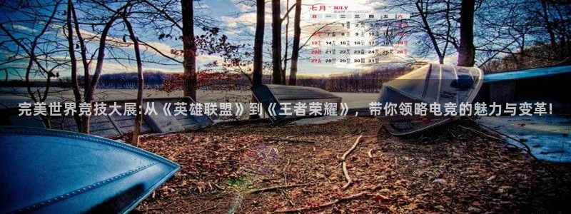 南宫电竞平台：完美世界竞技大展:从《英雄联盟》到《王者荣耀》，带你领略电竞的魅力与变革!