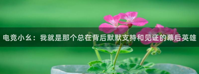 南宫电竞：电竞小幺：我就是那个总在背后默默支持和见证的幕后英雄