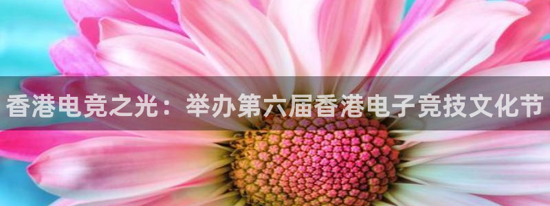 南宫电竞app：香港电竞之光：举办第六届香港电子竞技文化节