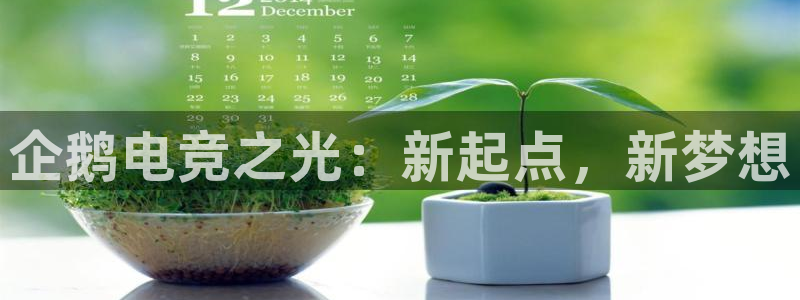 南宫电竞app：企鹅电竞之光：新起点，新梦想